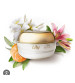 CREME ACETINADO HIDRATANTE LILY TRADICIONAL - 250 G - BOTICÁRIO